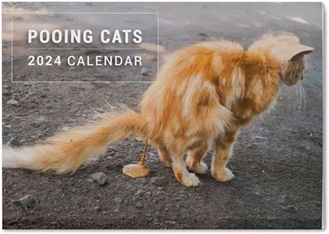 Pooping Cats Calendar 2024 Funny Cat Calendar 2024 Cat Pooping Calendar ...