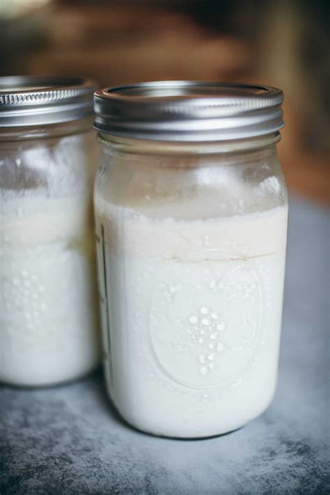 How to Make Homemade Yogurt from Raw Milk - The Ancestors Table