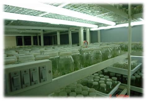 R & D Achievements | Uttarakhand Council for Science & Technology (UCOST)