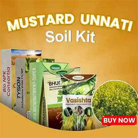 Buy Katyayani Mustard Unnati Soil Kit | Easy Mustard Farming
