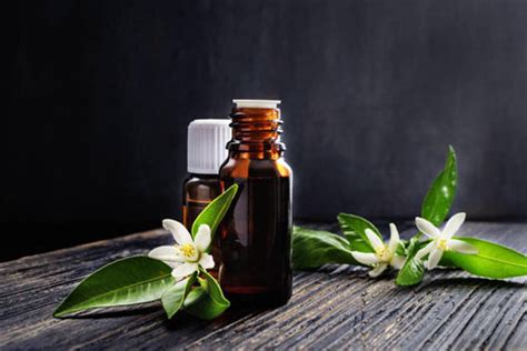 Neroli Oil for Skin Care – Benefits, Uses & DIY Recipes – VedaOils