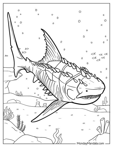 18 Megalodon Coloring Pages (Free PDF Printables)