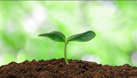 Healthy Soils, Soils Testing & Amendments., 3546 US-211, Luray, VA, 13 ...