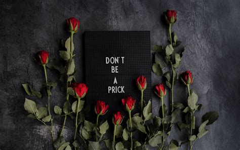 Download wallpaper 2560x1600 motivation, inscription, plate, roses ...