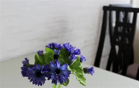 Download wallpaper flowers, chairs, Table, section interior in ...