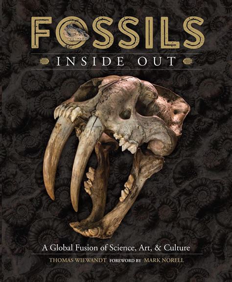 Buy Fossils Inside Out: A Global Fusion of Science, Art and Culture: A ...
