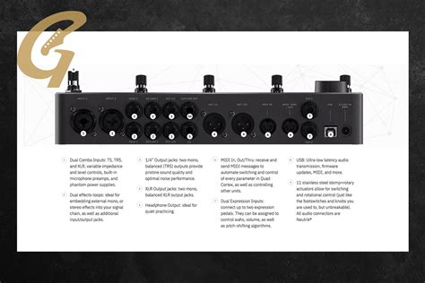 Image result for Quad Cortex Back Panel