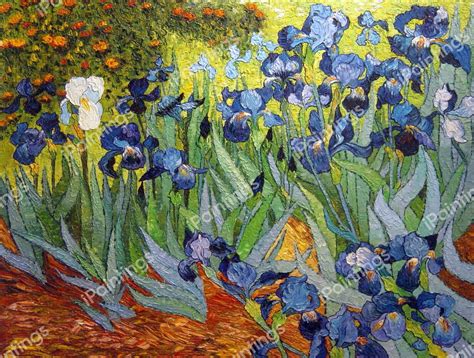 Van Gogh Irises