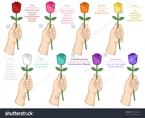 2,199 Meaning Of Rose Color Images, Stock Photos & Vectors | Shutterstock