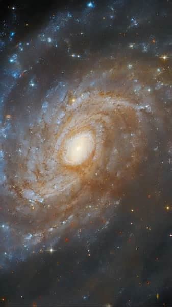 Celestial 的图像结果