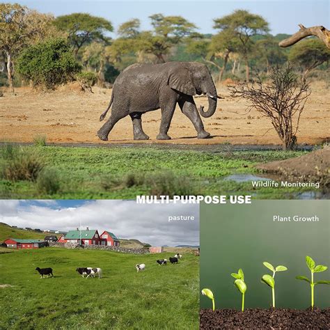 Buy usogood WiFi Trail Camera 4K with Night Vision Motion Activated ...