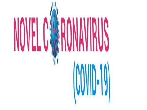 12 new coronavirus cases in Mumbai's Dharavi