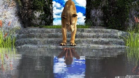 3D Reflection in Computer Graphics Example 的图像结果