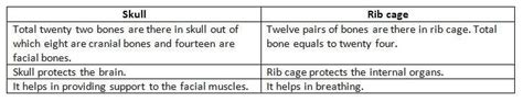 difference between Rib cage and skull - Brainly.in