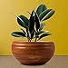 Lasaki Bowl Small Antique Ceramic Pots for Indoor Plants, Planters ...