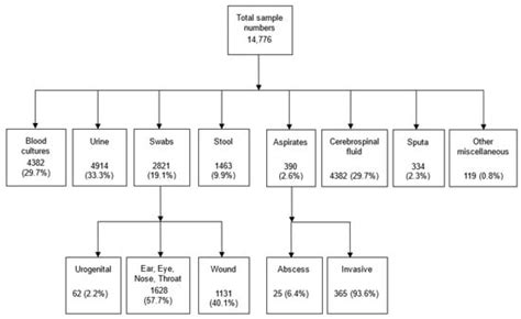 Using an Antibiogram Profile to Improve Infection Control and Rational ...