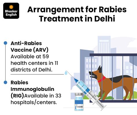 Human rabies declared as 'notifiable disease' in Delhi; Case must be ...