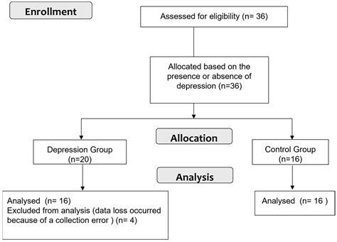 Does the Transcranial Direct Current Stimulation Selectively Modulate ...