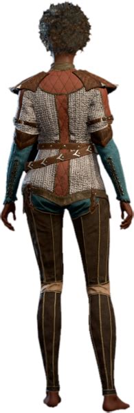 File:Robust Chain Shirt Human Back Model.webp - bg3.wiki