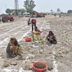 Forest by Design: Godrej Turns Industrial Space into Biodiversity Hub ...