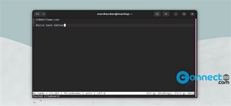 Image result for How to Use Micro Text Editor