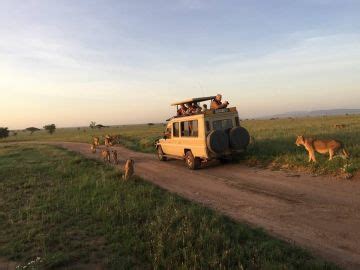 Pleasurable 3 Days Mikumi National Park Park Vacation Package | mikumi ...