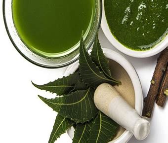 Herbal Extracts Supplier - Manufacturer of Herbal Extracts ...