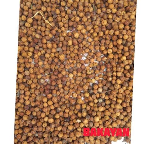 Wholesale Herb Seeds Supplier from Gwalior India