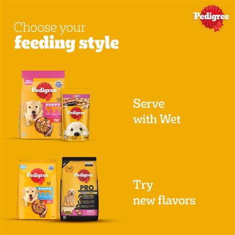 Buy Pedigree Chicken & Milk Dry Food for Puppy Dog, 370 gm | 19 Minutes ...
