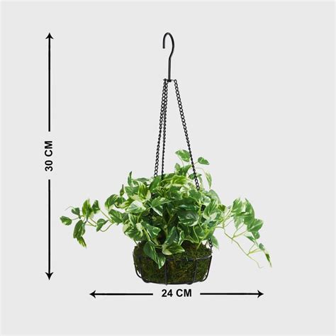 Buy Fiesta Artificial Plant with Hanging Planter from Home Centre at ...