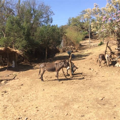 ETHIOPIA COMMUNITY TOURISM DAY TOURS - All You Need to Know BEFORE You ...