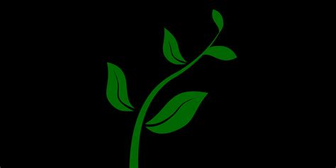 New Release: Stem 1.8 | The Tor Project