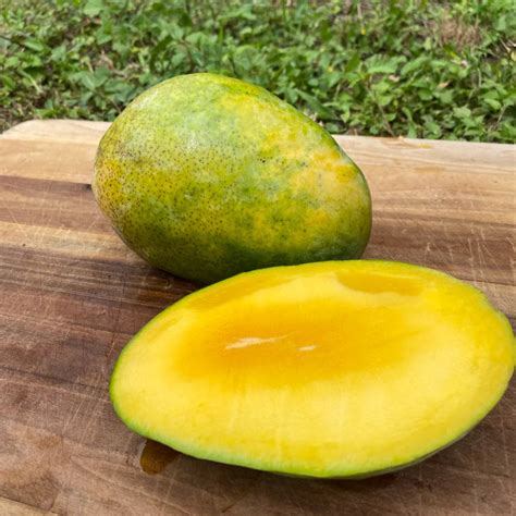 Pineapple Pleasure Mango – veliyathgardens