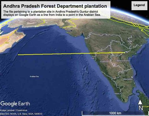 Investigation: India’s ghost plantations in which millions have been sunk