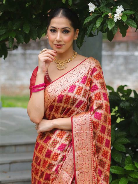 Banarasee Chiffon Zari Jaal & Resham Work Saree-Maroon