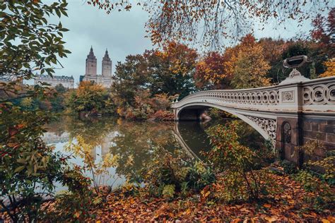 10 Fascinating Hidden Gems in Central Park - Your Brooklyn Guide