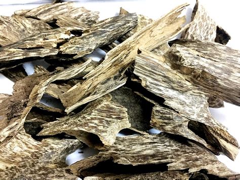 Agarwood Chips Oud Chips Incense Aroma | Natural India | Ubuy