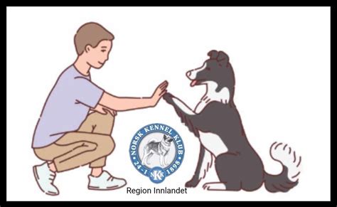 Kynologi kurs 24-26 Okt. 2025, Vertshuset V-E6, Skumsrudvegen 33, 2836 ...