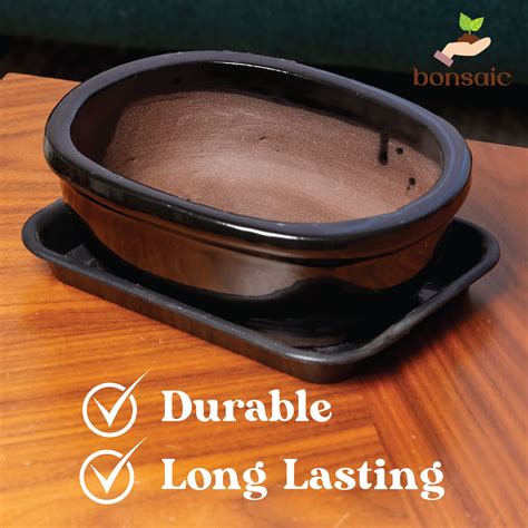 Buy Bonsiac Japanese Style Wide Mini Bonsai Bowl Planters with Seeping ...