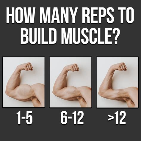 What is the best rep range to build muscle? - Citizen Athletics