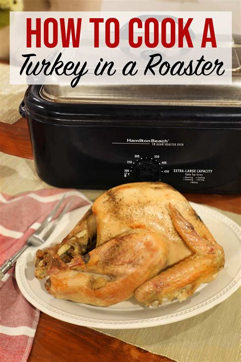 How to Cook a Turkey in a Roaster 的图像结果