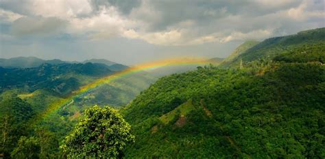 Araku Valley Travel Guide: Sip Coffee By The Eastern Ghats In Andhra