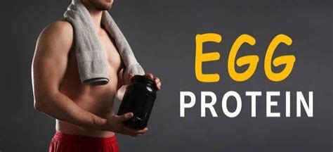 健身要不要喝蛋白粉，应该选择哪种蛋白粉？
