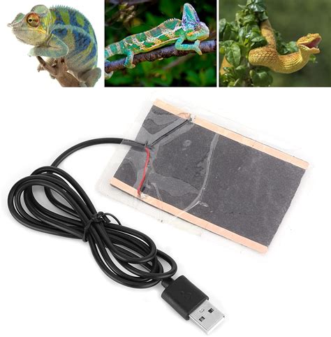 Buy Reptile Heating Film, Heating Film for Reptiles Plant Heating Mat ...