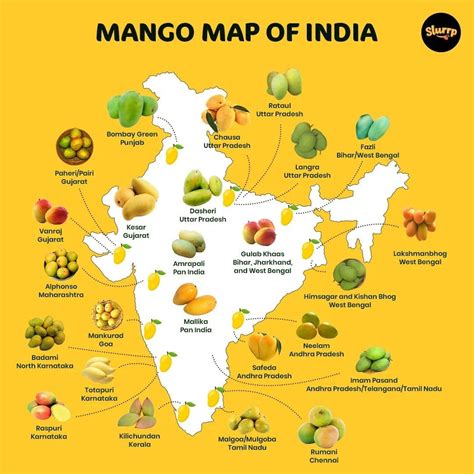 Where Mangoes Are Grown