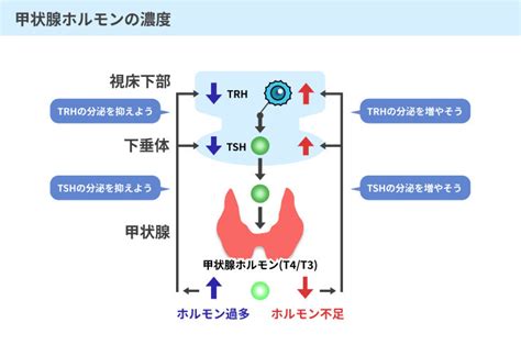 Image result for Java Instantiate Dictionary