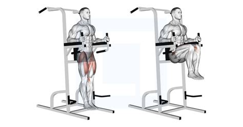 Image result for Contralateral Leg Raise