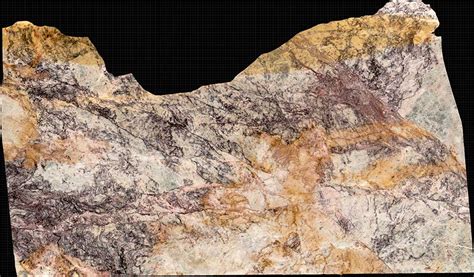 Buy viola fiore marble | White color marble for floor & wall | Nitco