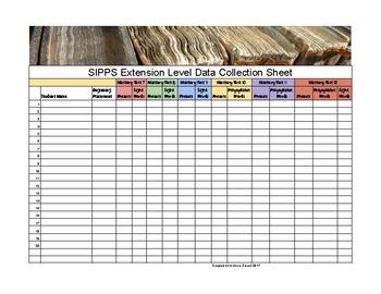 Image result for SIPPs Extension Level