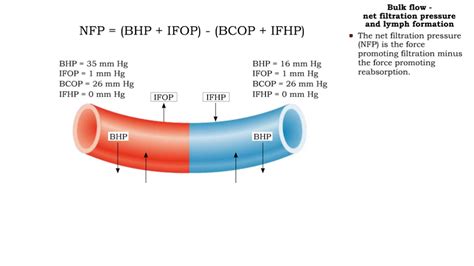 Image result for Bulk Calcuation Process Flow